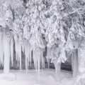 � ��� ����������, �� �� ������ - �� ��������