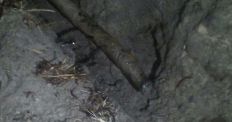 ​В Житомире патрульные полицейские обнаружили вероятных копателей кабеля. ФОТО/