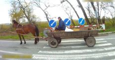 На Житомирщині патрульні виявили водія гужового транспорту, який керував повозкою в стані алкогольного сп’яніння/