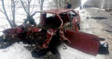 ​На трасі Бердичів - Хмільник-Біликівці в аварії загинули дві пасажирки легковика. ФОТО/