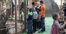 ​У Житомирі поліцейські влаштували дітлахам екскурсію до контактного зоопарку/