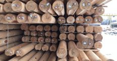 ​В Житомирском районе во время обысков на предприятиях изъяли почти 120 м3 леса-кругляка/