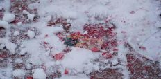 ​В Тернополе двое молодых людей из Житомира облили красной краской памятник Степану Бандере. ФОТО/