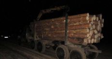 ​В Житомирській області затримано дві вантажівки з нелегальним лісом/
