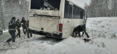 ​В Житомирській області рейсовий автобус з 17 пасажирами потрапив у снігову пастку. ФОТО/