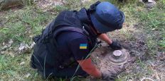 ​В Житомирской области в лесу обнаружили противотанковые мины. ФОТО/