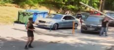 ​У Житомирі оштрафували водіїв автомобілів, які заїхали в Гідропарк на пішохідну зону/
