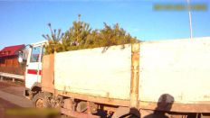 2 січня при в’їзді в Житомир зупинили вантажівку з.... ялинками. ФОТО/