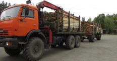 ​Житомирські лісівники відправили допомогу у постраждалу Калинівку. ФОТО/