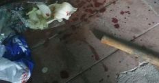 У житомирянина, який повертався з довготривалих заробітків - викрали сумку з грошима. ФОТО/