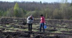 В Житомирской области снова сажали «журналистский» лес/