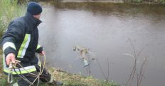 ​На Житомирщині у водоймі виявили тіло чоловіка. ФОТО/