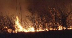 ​В Житомирской области в течение суток зафиксировано 4 пожара/