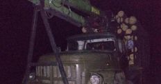 ​У двох районах Житомирщини затримано перевізників нелегального лісу/