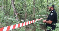 ​У лісі на Житомирщині виявили присипане землею тіло чоловіка. ФОТО /