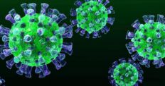 ​В Житомирській області виявили нові випадки коронавірусу/