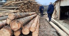 ​У результаті рейду у Романівському районі розпочали слідчі дії по одному з підприємств з обробки деревини/