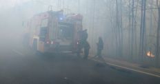 ​Рятувальники надають допомогу у гасінні лісових пожеж на території Овруцького та Олевського районів/