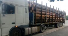 ​На Житомирщині затримали вантажівку із причепом, яка перевозила 45 м3 деревини без документів/