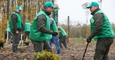 У межах ініціативи Президента на Житомирщині за 1 день висадили 1 мільйон дерев/