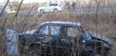 Злетів у кювет: Поліція з’ясовує обставини фатальної ДТП на Житомирщині/