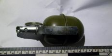 ​У водителя, устроившего ДТП в Житомирской области, обнаружили боевую гранату/