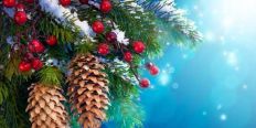 Какая программа рождественских и новогодних праздников ждет жителей и гостей Житомирской общины/