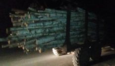 ​На Житомирщині патрульні виявили незаконне перевезення деревини/