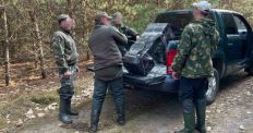 Житомирські прикордонники біля кордону з Білоруссю затримали трьох контрабандистів з партією медикаментів/