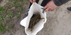 ​Поліцейські вилучили мішок з наркотичними засобами у жителя Бердичівського району/