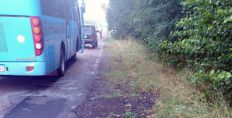 ​В Житомирській області автобус збив велосипедистів/