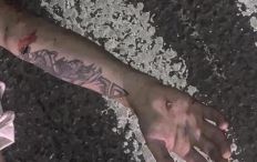 ​Поліція встановлює особу загиблого у ДТП під Житомиром чоловіка. ФОТО/