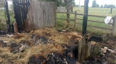 ​Трагедія на Житомирщині: Поліція встановлює обставини загибелі 6-річного хлопчика/