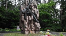 ​Житомирщина помнит… – Олег Шарварко на возложении цветов ко Дню скорби