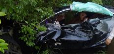 ​На Житомирщині «Mercedes» зіткнувся з колесовідбійником -  водійка отримала травми. ФОТО/