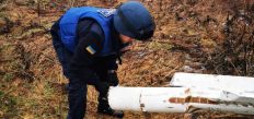 ​В Житомирському районі в лісовому масиві виявили сучасний реактивний снаряд/