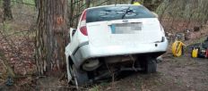 ​Загинула водійка легковика та її 25-річний син: На Житомирщині «Ford» врізався в дерево/