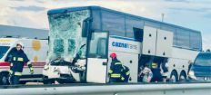 ​Рейсовий автобус «Запоріжжя-Кошалін» зіткнувся із зерновозом на Житомирщині - є загиблий. ФОТО/