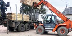 ​Експорт незаконно здобутих лісоматеріалів на майже 43 млн грн – у Житомирі повідомили про підозру злочинному угрупованню /